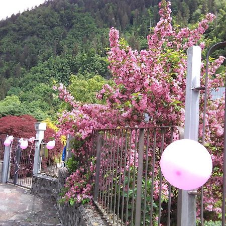 Casa Per Ferie Paola Di Rosa Hotel Arta Terme Zewnętrze zdjęcie