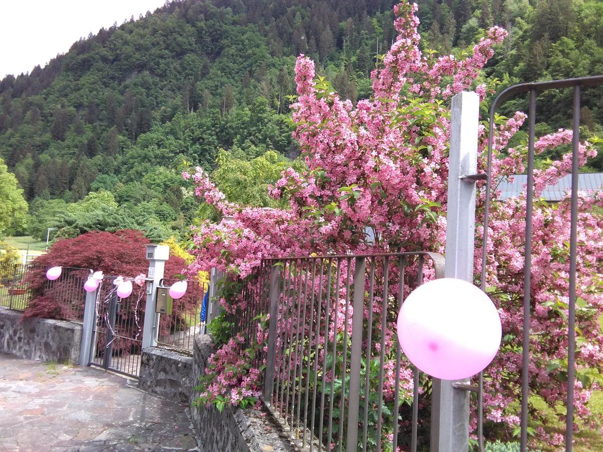 Casa Per Ferie Paola Di Rosa Hotel Arta Terme Zewnętrze zdjęcie